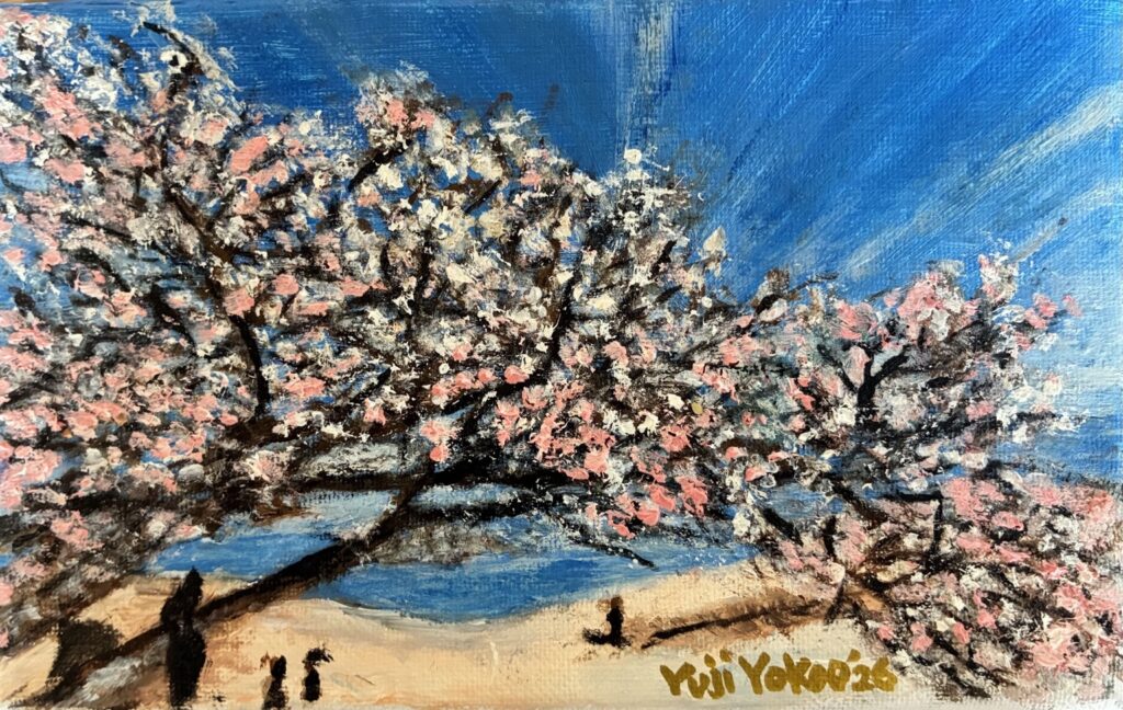 熱海桜 ― サンビーチ / Atami Cherry Blossoms at Sun Beach