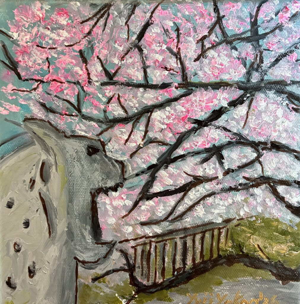 糸川に咲く春 / Spring Along the Itogawa River